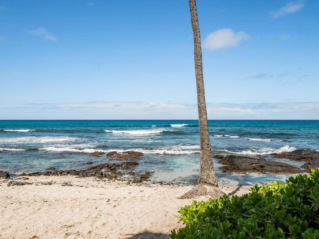 Oceanfront 1 Bedroom 2 Bathroom With Large Lanai - Kona Bali Kai 218 Καϊλούα-Κόνα Εξωτερικό φωτογραφία