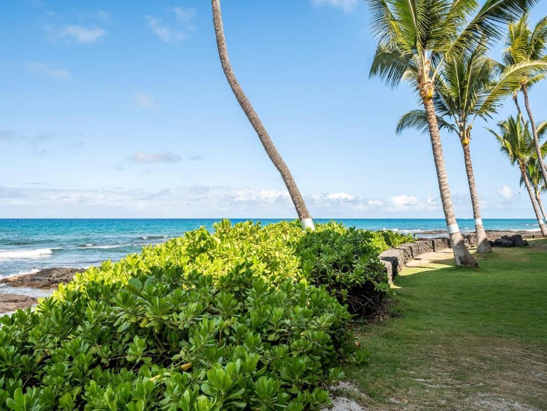 Oceanfront 1 Bedroom 2 Bathroom With Large Lanai - Kona Bali Kai 218 Καϊλούα-Κόνα Εξωτερικό φωτογραφία