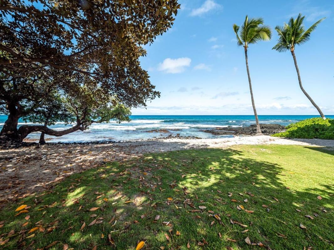 Oceanfront 1 Bedroom 2 Bathroom With Large Lanai - Kona Bali Kai 218 Καϊλούα-Κόνα Εξωτερικό φωτογραφία